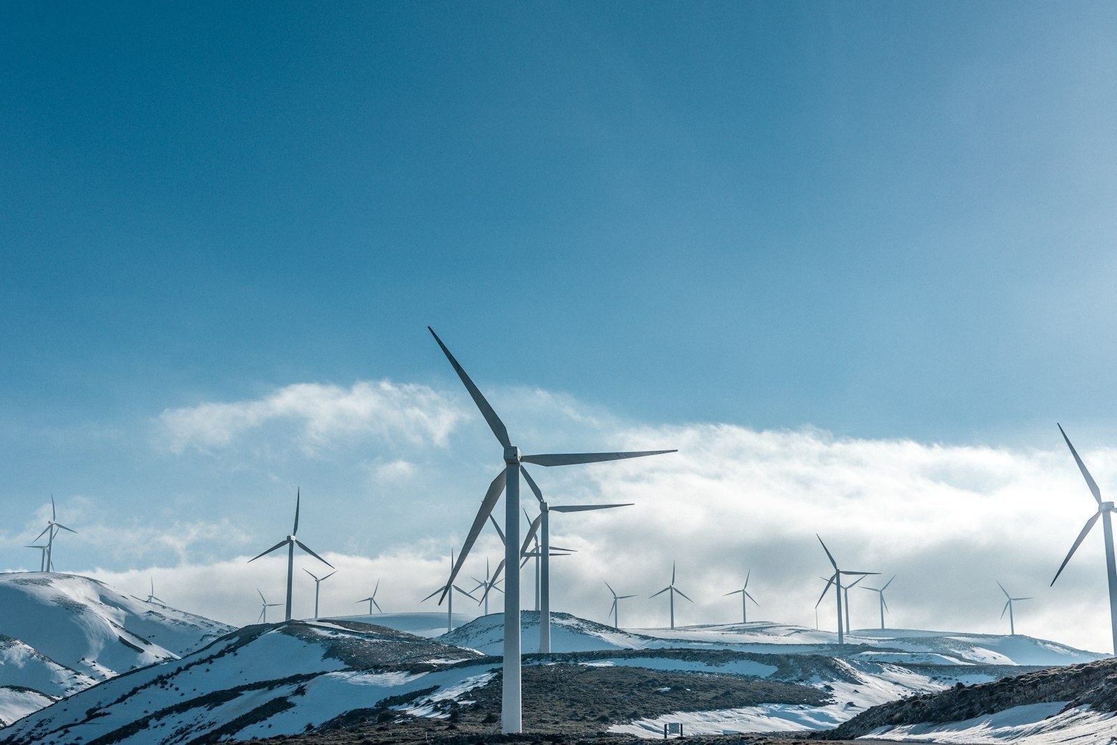 A wind farm on a high ridge, capital committed for a decade